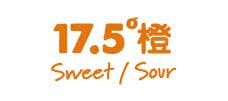 17.5°橙